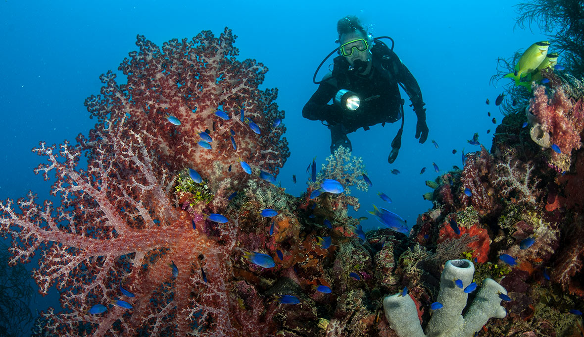  Dive Truk  Lagoon with Odyssey Adventures