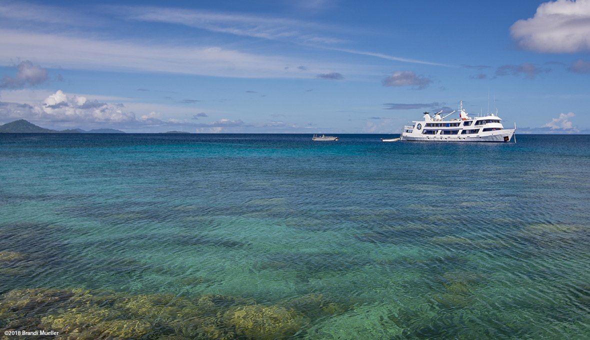  Dive Truk  Lagoon with Odyssey Adventures